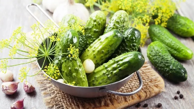 Why pickled cucumbers are hollow inside and how to preserve them correctly to prevent this issue