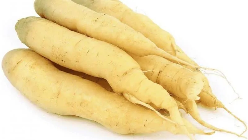 Varieties of white carrots and their health benefits