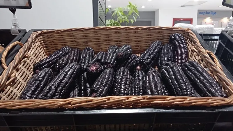 An exotic vegetable with a striking appearance – black corn: properties, culinary uses, and folk medicine applications
