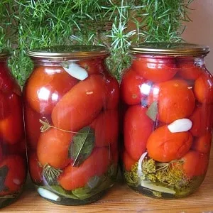 How to properly prepare salted tomatoes in jars "barrel-style" using the cold method: recipes and useful tips