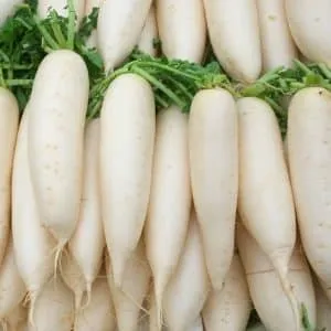 Varieties of white carrots and their health benefits