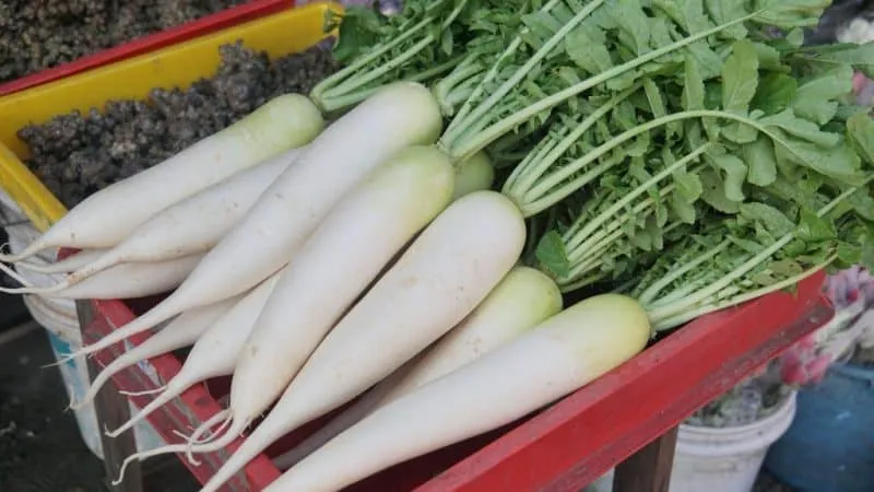 Varieties of white carrots and their health benefits