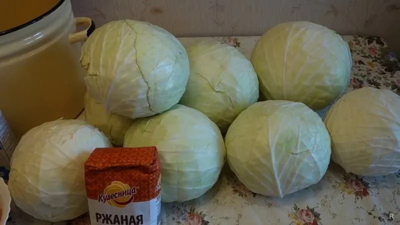How to properly store cabbage in the freezer, refrigerator, and without cooling devices