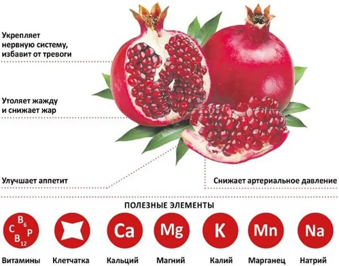 Pomegranate - daily intake norms, can you eat the seeds