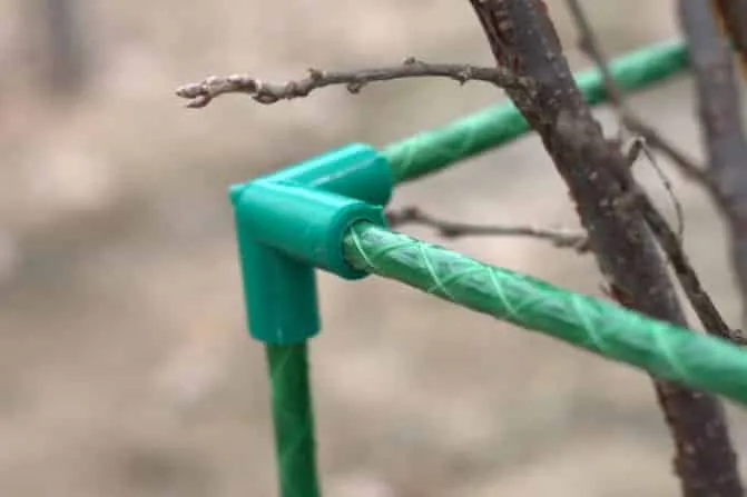 Why supports for currants are needed and how to make them yourself