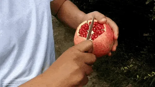 Pomegranate - daily intake norms, can you eat the seeds