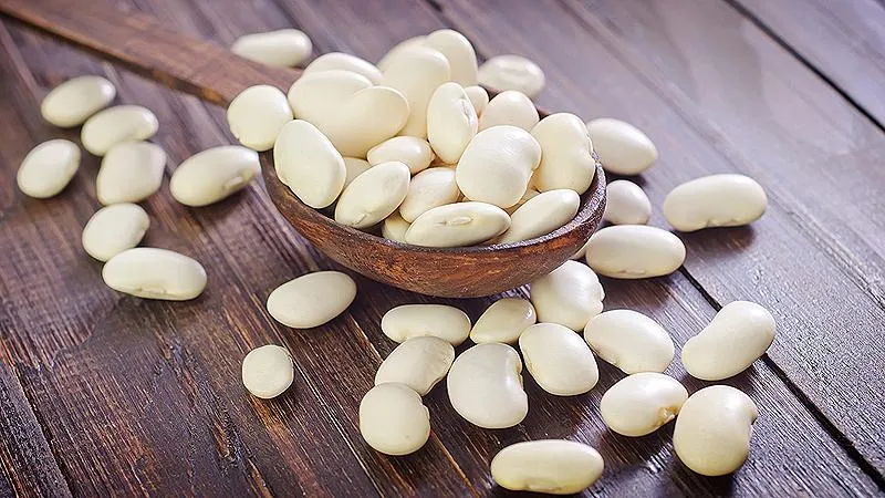 Growing White Beans: Key Features