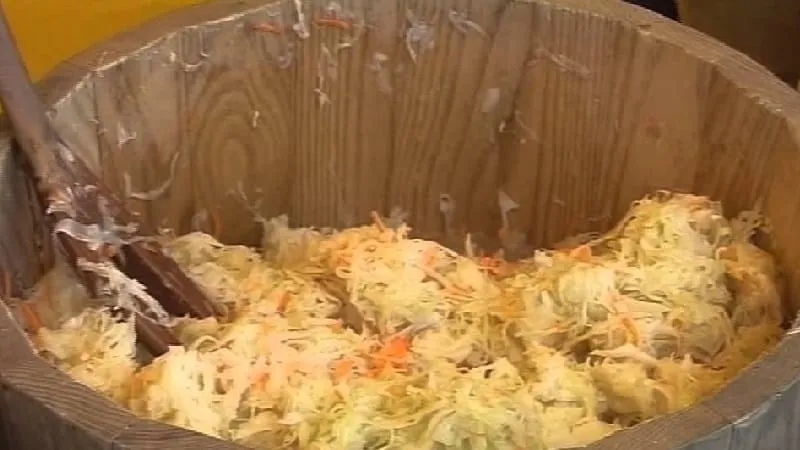 Sauerkraut in a barrel: recipes and useful tips
