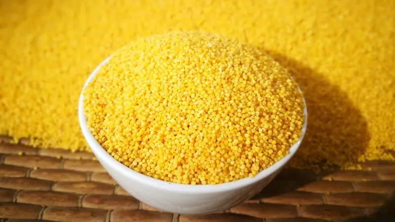What is millet, how it grows, and its uses