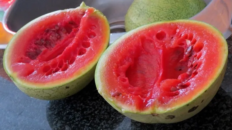 How to tell if a watermelon has spoiled and what to do if it happens