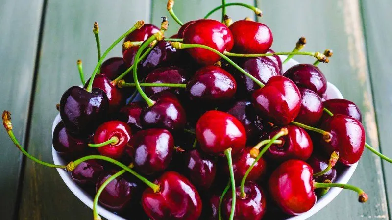Large-fruited, low-maintenance columnar sweet cherry variety "Sylvia"