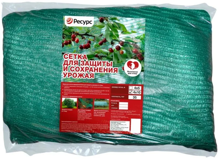 Save your harvest with the best methods: how to protect raspberries from birds