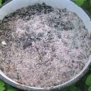 How to fertilise raspberries with ash in summer: a step-by-step guide