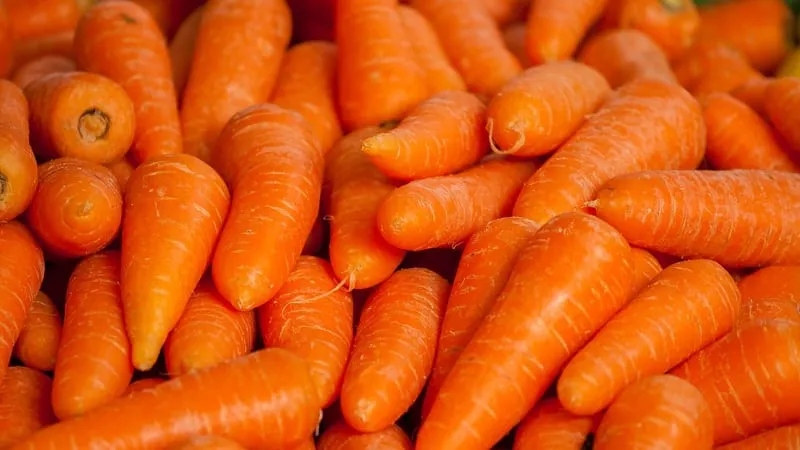 Can carrot allergies occur, how do they manifest, and how are they treated?