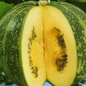 Features of growing hulless pumpkins and which seeds to consider