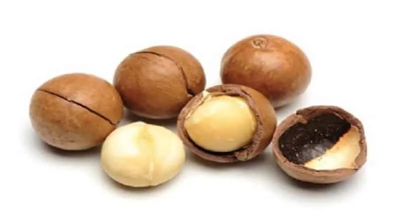 How and in what quantity to consume macadamia nuts