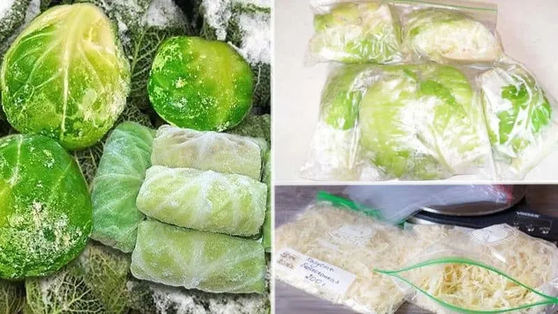 How to properly store cabbage in the freezer, refrigerator, and without cooling devices