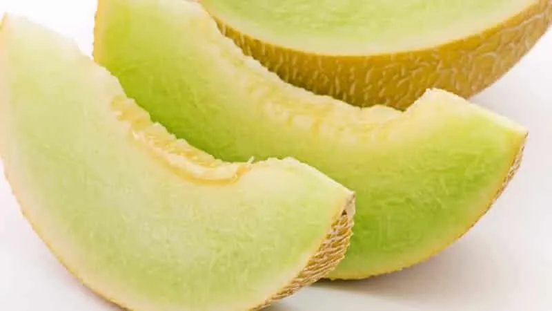 How to store melon properly in the refrigerator