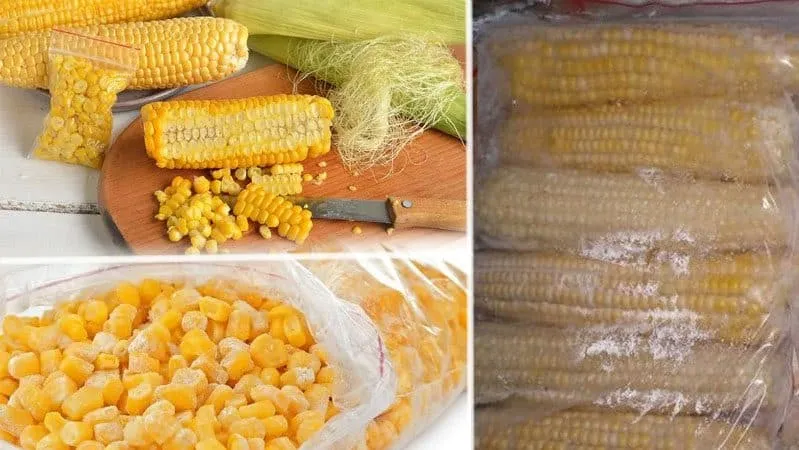 Where and how to store corn on the cob at home: optimal conditions and storage periods