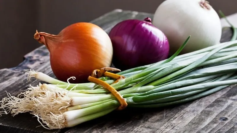 Follow crop rotation rules: what to plant after onions next year and what to avoid