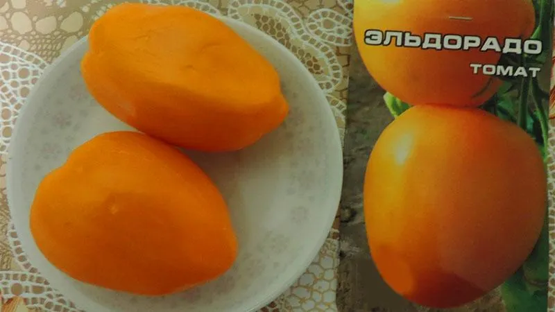 Most productive short-stem tomato varieties