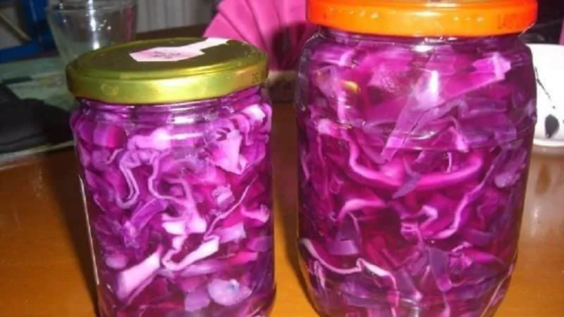 A selection of delicious red cabbage recipes for winter preserves in jars