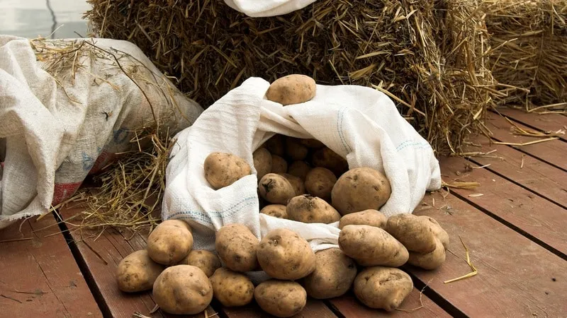 Methods for storing potatoes at home