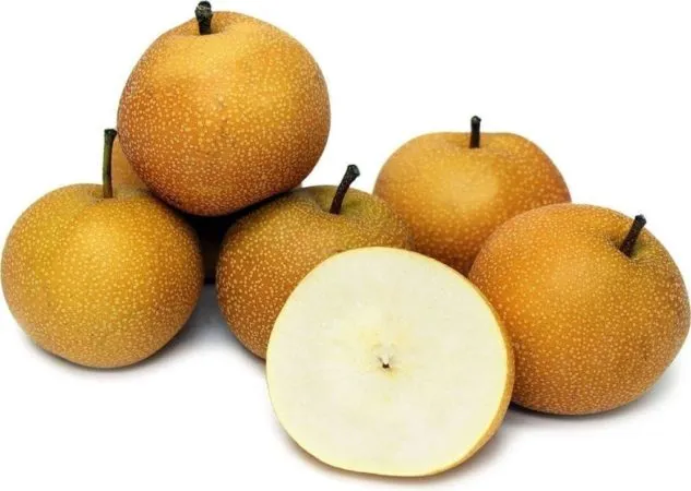 Composition and calorie content of Asian pears depending on variety, their health benefits
