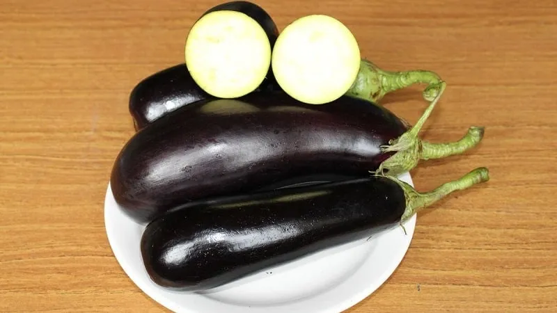 A gift from modern breeders - the Fabina F1 eggplant with large fruits and impressive yield