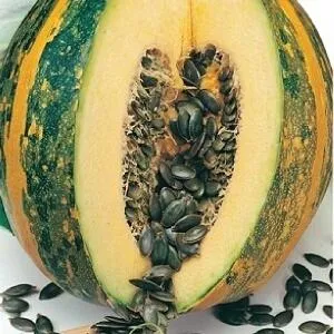 Features of growing hulless pumpkins and which seeds to consider