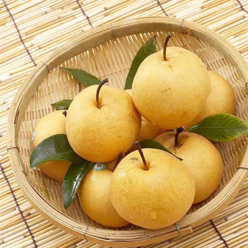 Composition and calorie content of Asian pears depending on variety, their health benefits