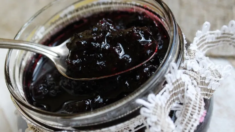 How and when to harvest blackcurrants correctly
