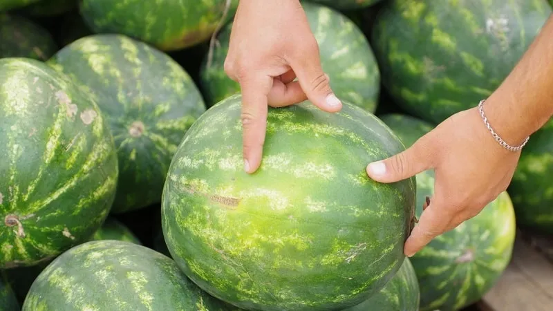 How to tell if a watermelon has spoiled and what to do if it happens