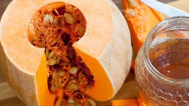 What is pumpkin honey: healing properties and contraindications, methods of preparing this miraculous remedy