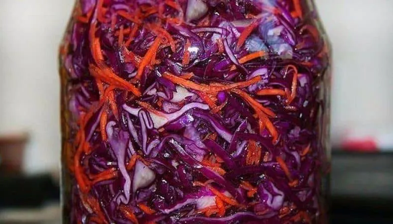 A selection of delicious red cabbage recipes for winter preserves in jars