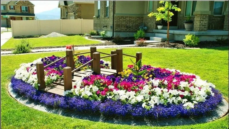 Best Trailing Petunia Varieties and Growing Tips