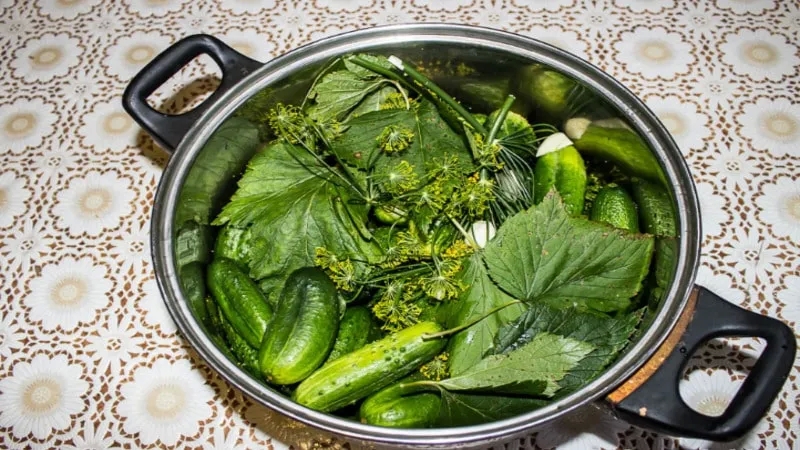 6 Most Delicious Recipes for Pickled Cucumbers in a Saucepan