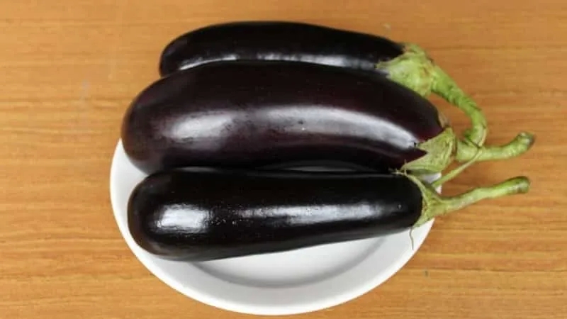 A gift from modern breeders - eggplant "Fabina f1" with large fruits and impressive yield