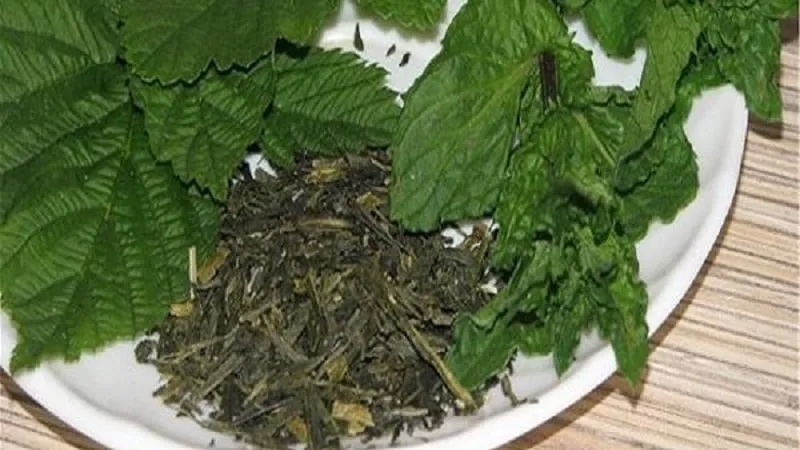 How to Ferment Raspberry Leaves at Home