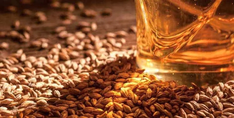 How to Make Barley Malt at Home