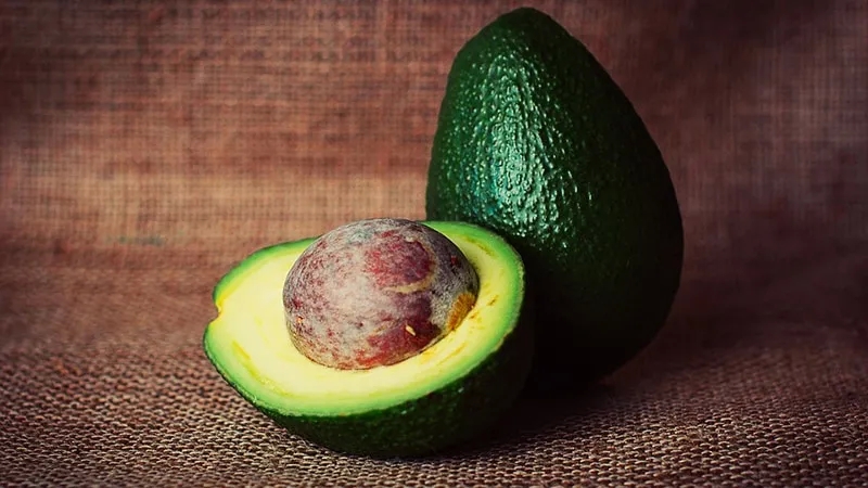 How to Properly Store Avocado at Home to Prevent It from Going Bad