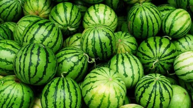 Is it possible to eat watermelon with gastritis with high acidity: pros and cons and rules of consumption