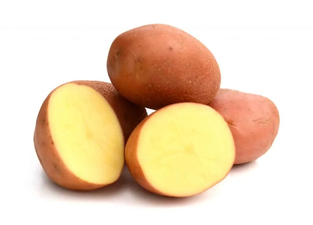 Potato variety Arosa is capable of growing even in the most difficult climatic conditions