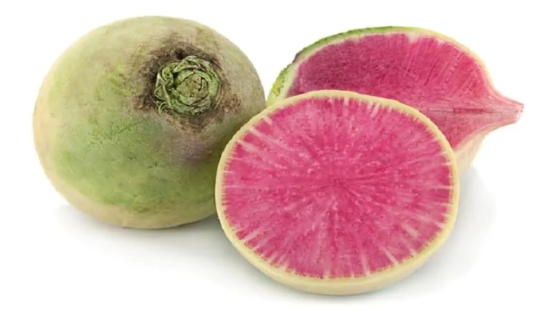 Unusual-looking and tasty watermelon radish: what's good about it and how to grow it