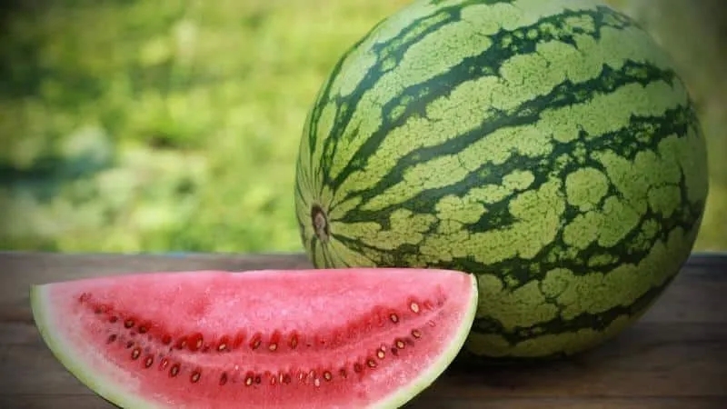 Watermelon without harm to health: how much can you eat per day