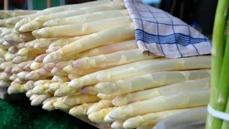 What is white asparagus and why is it that color?