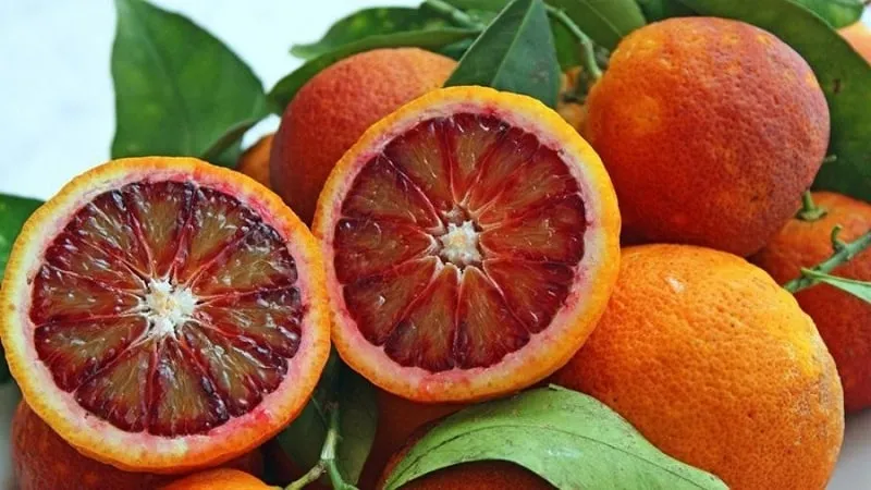 Blood orange 'Moro'