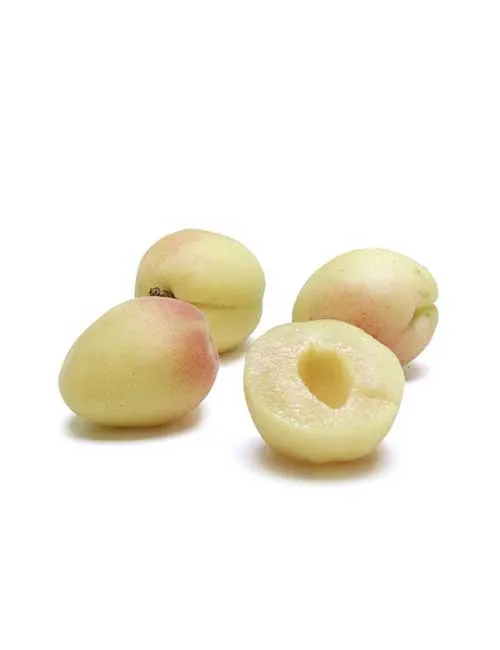 Variety of apricot cultivars for different climates