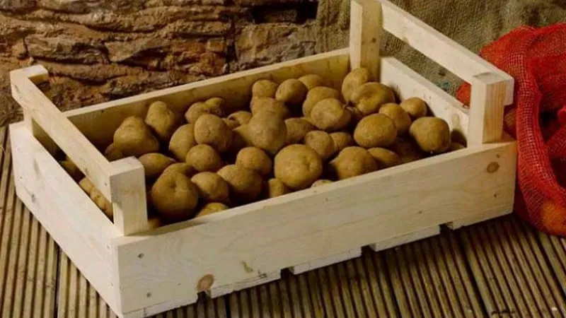 Methods for storing potatoes at home