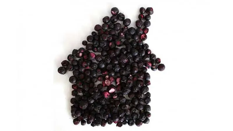 Best ways to dry blackcurrants at home